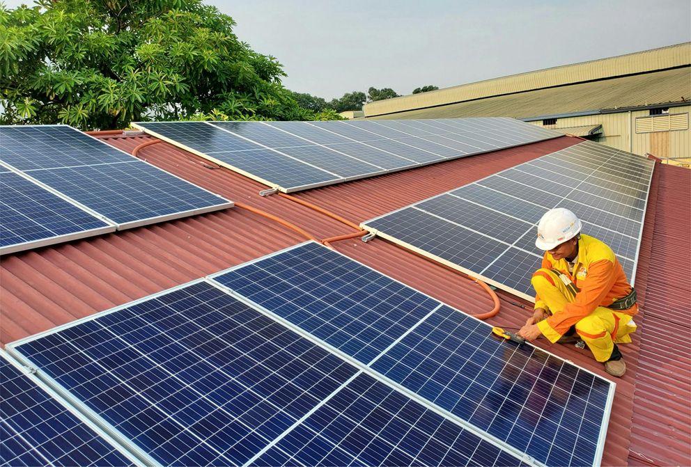 Eligibility & Requirements To qualify for the Alosree