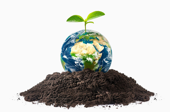 sprouting earth